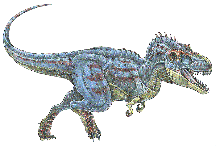 daspletosaurus torosus