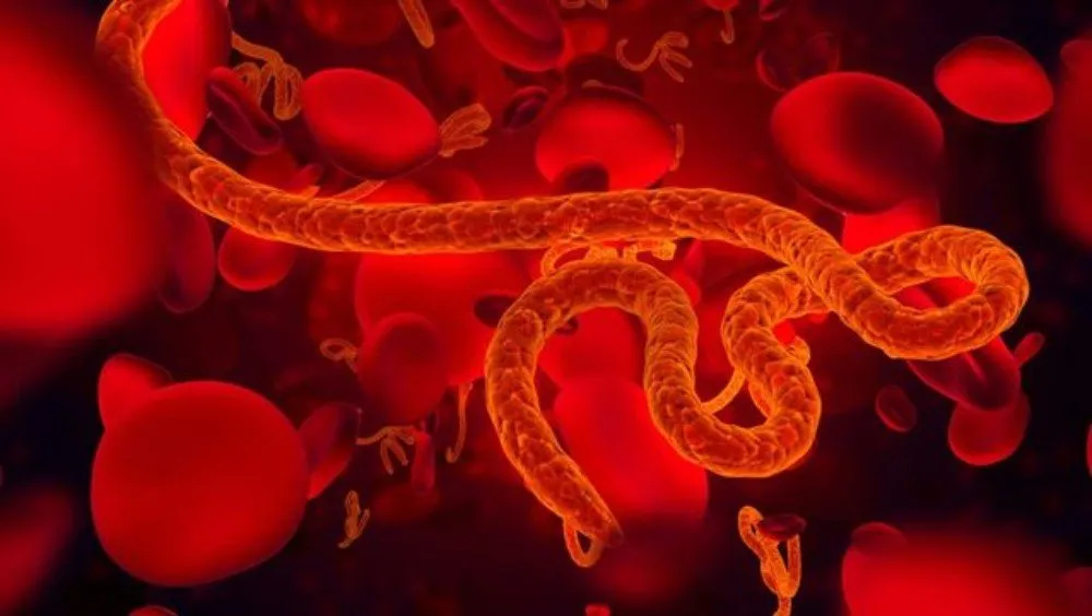 ebola virus drc