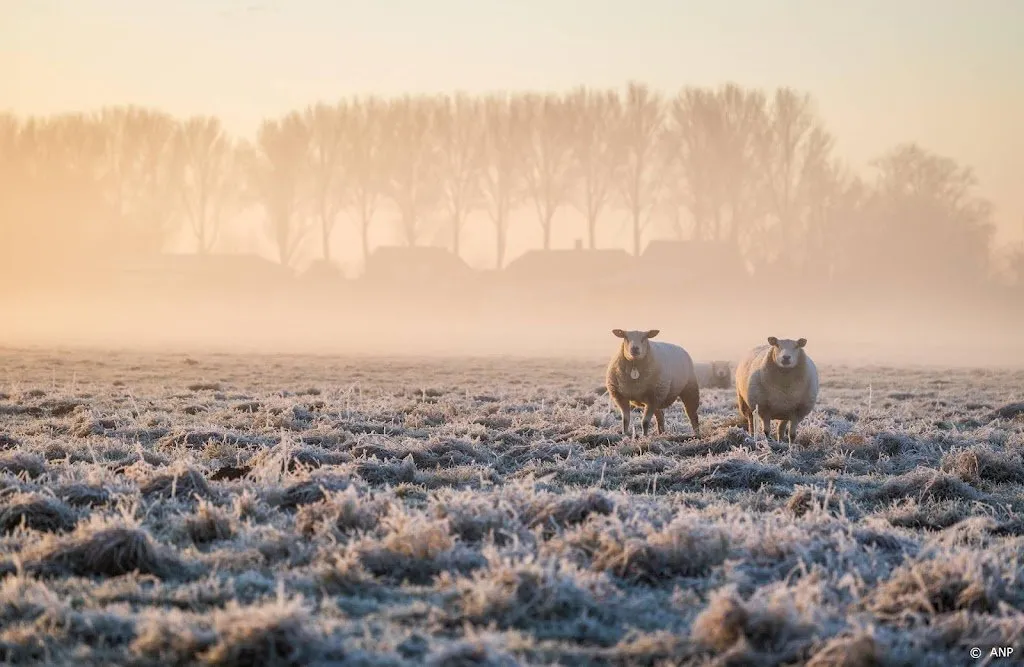 eerste officiele matige vorst van het najaar gemeten in de bilt1668925523