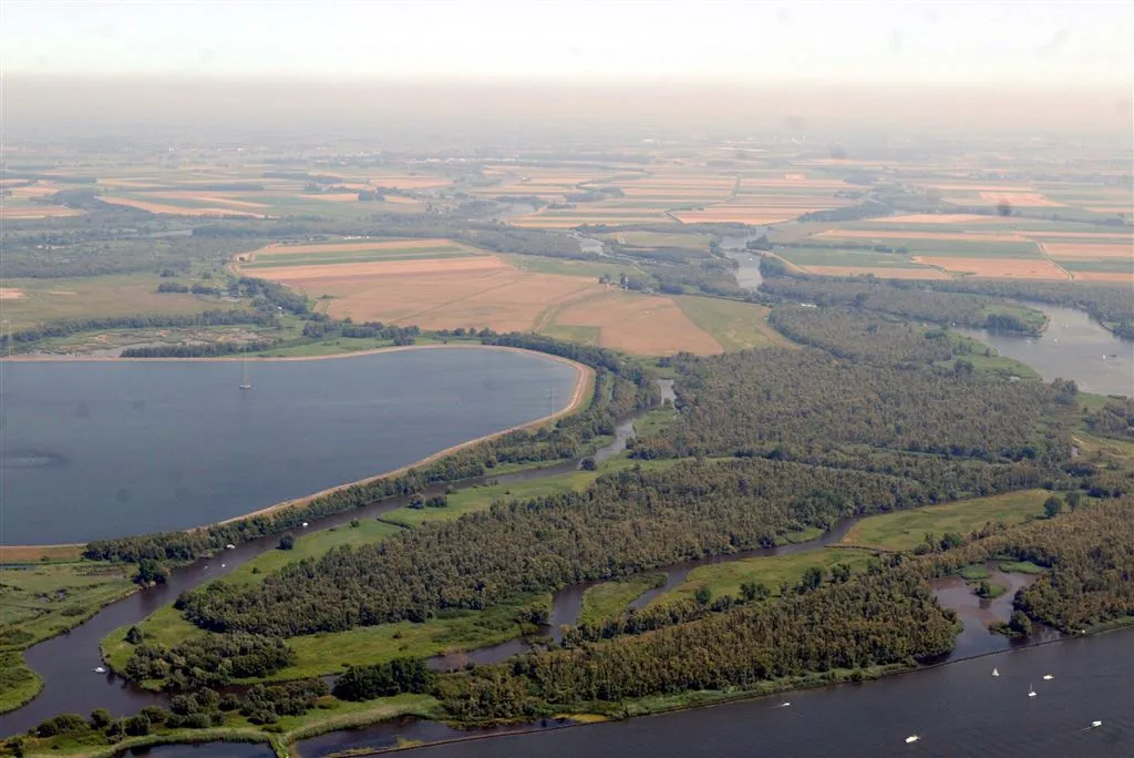 eerste visarend in nederland geboren1464783866