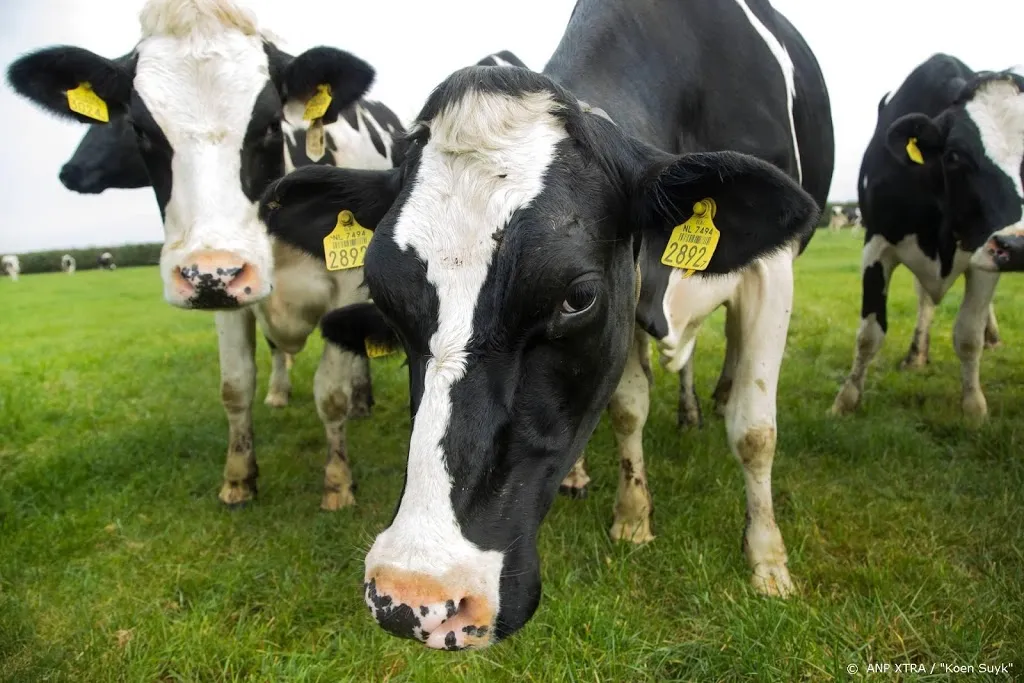 eten rundvlees meest schadelijk voor milieu1583829633