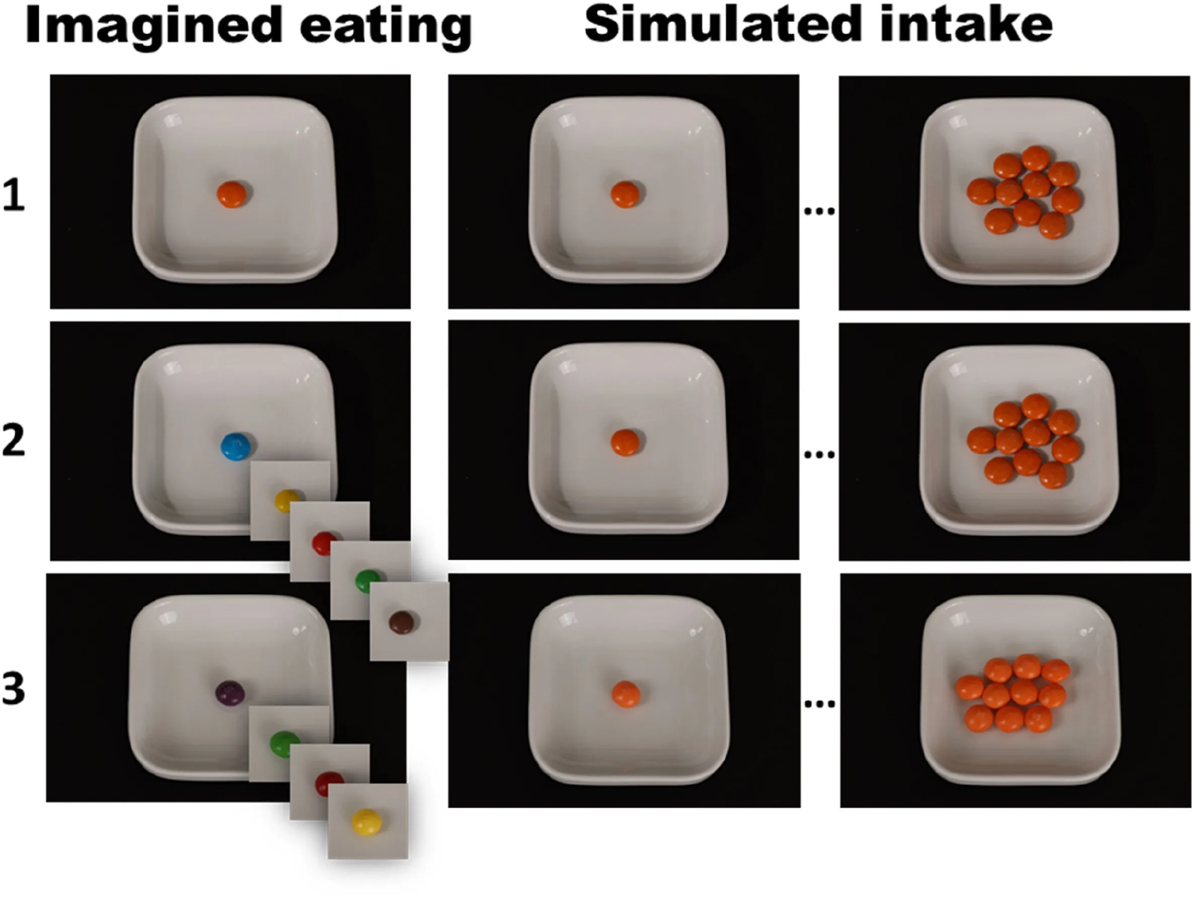 experiment suggests yo