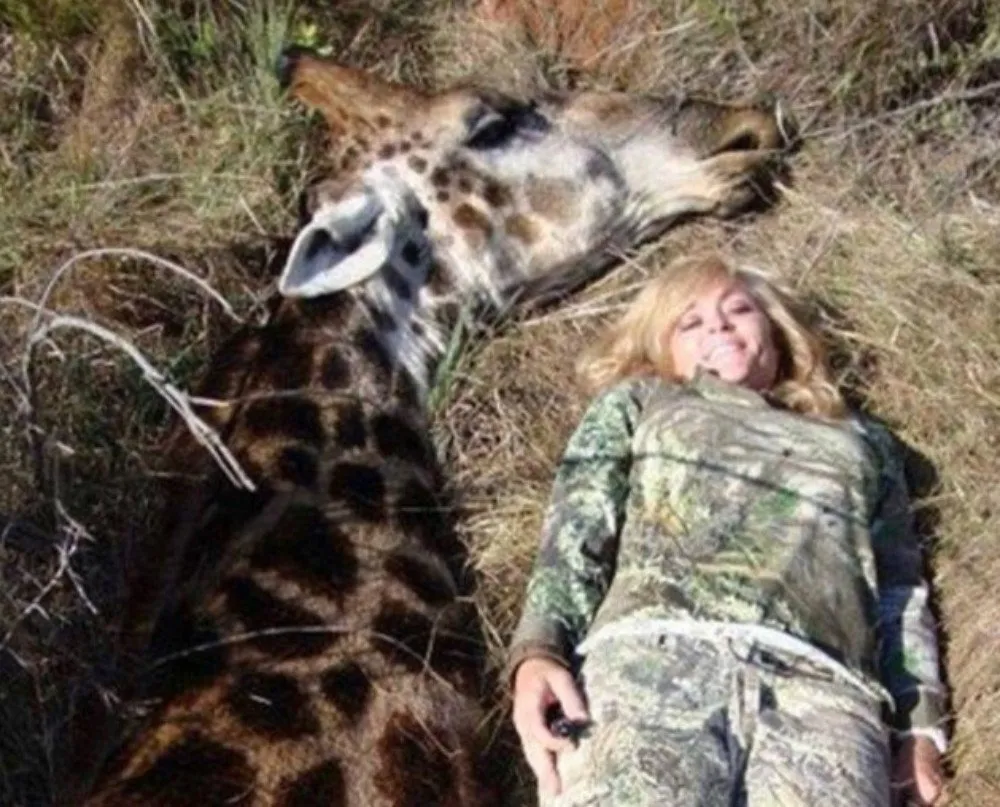 fireshot capture 332 tess thompson talley black giraffe h https scallywagandvagabondcom 2