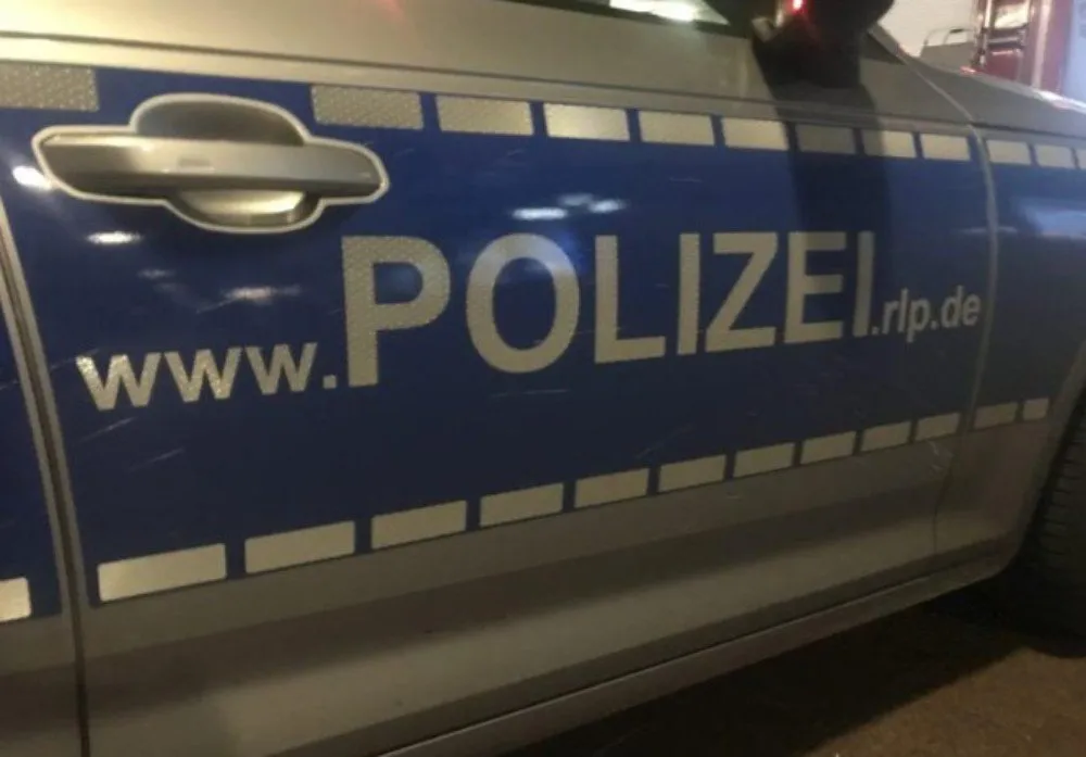 fireshot capture 350 grnstadt geburtstagsparty eskaliert https wwwrheinpfalzde lokal ar