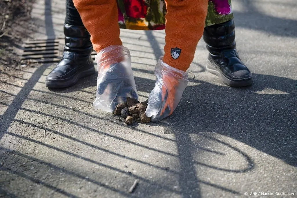 franse stad wil niet opruimende hondenbaasjes vinden met dna test1689733702