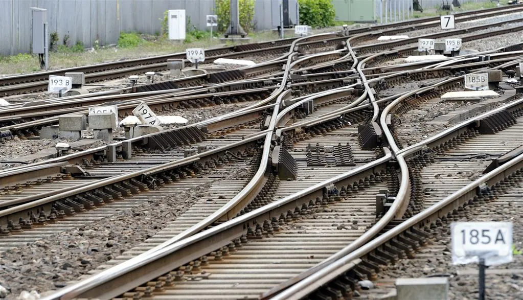 gezond verstand moet terug op spoor1449033859