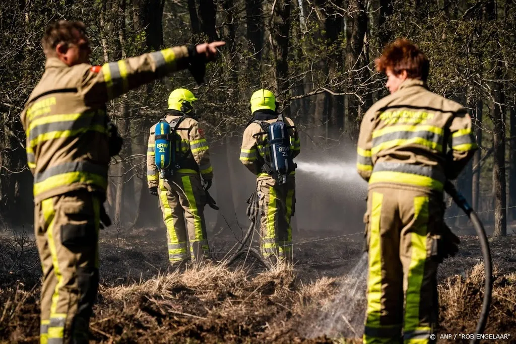 heel herkenbosch ontruimd vanwege natuurbrand1587529455