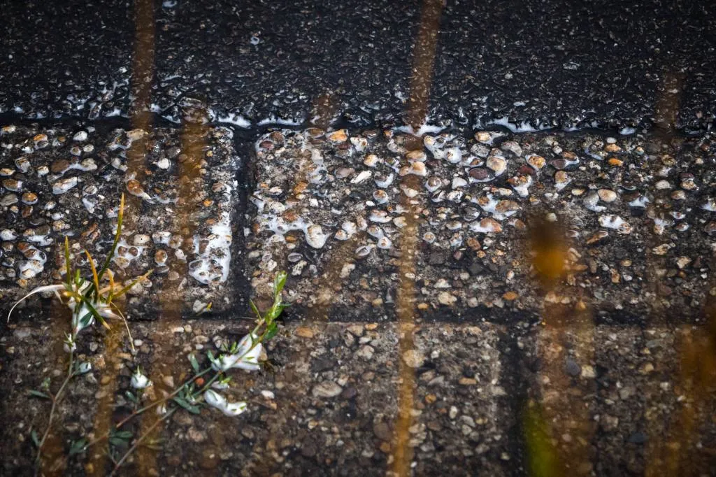 herfst begint met vorst aan de grond1535779687