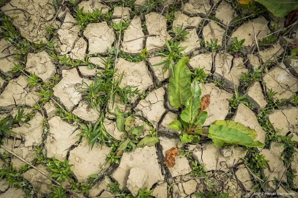 hitte en droogte laatste jaren ergste in 2000 jaar1615892013