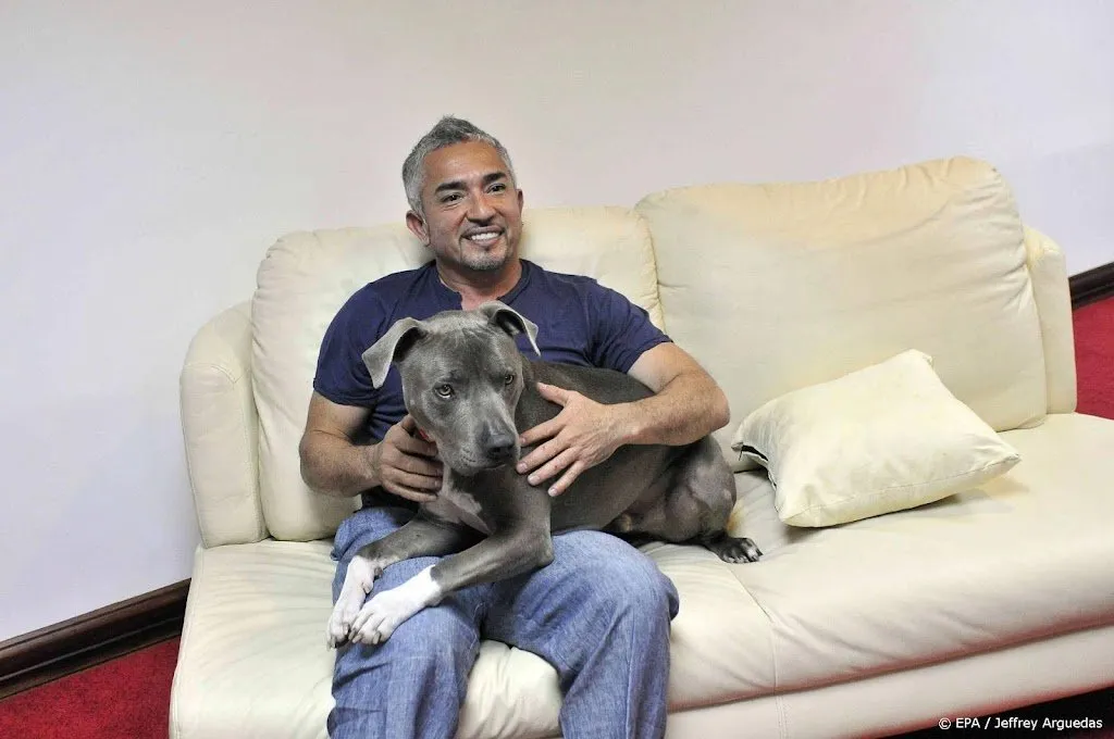 hondenfluisteraar cesar millan aangeklaagd om agressieve pitbull1631460257
