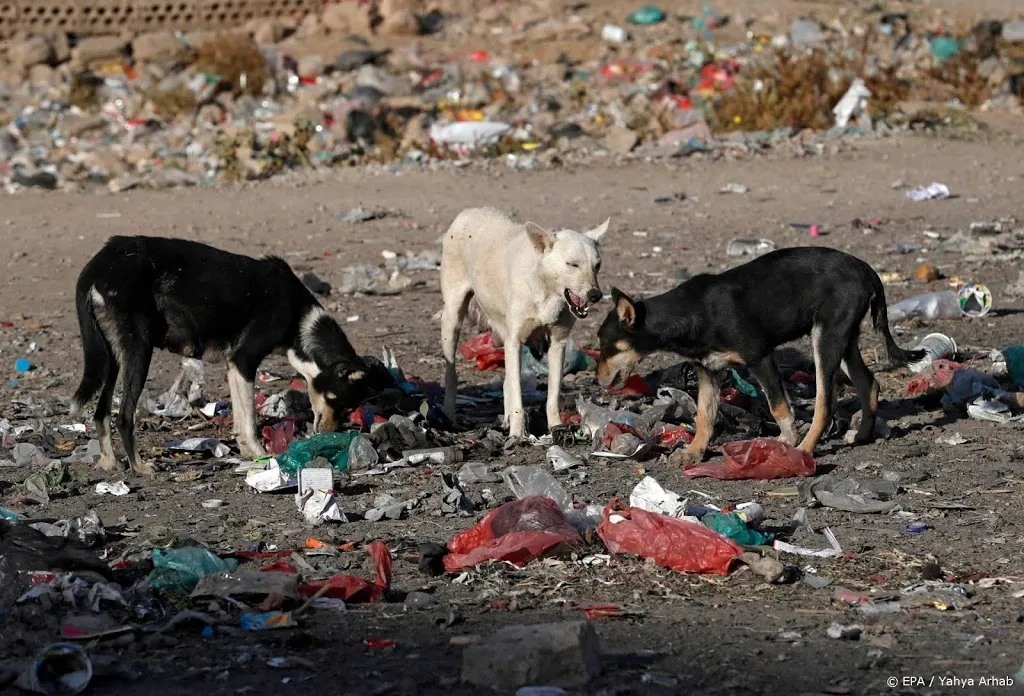 in nederland wordt het oppassen voor rabies1599061742