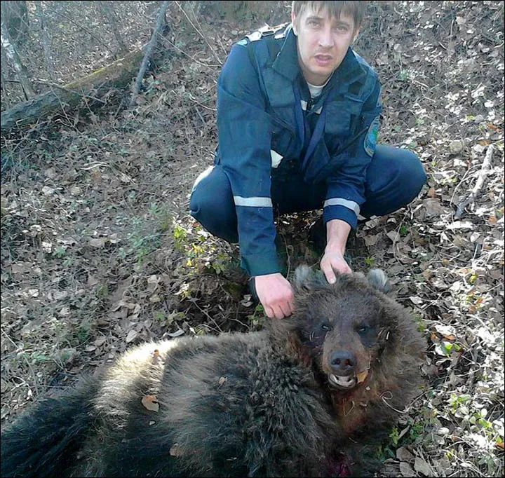 inside hunter holds bear