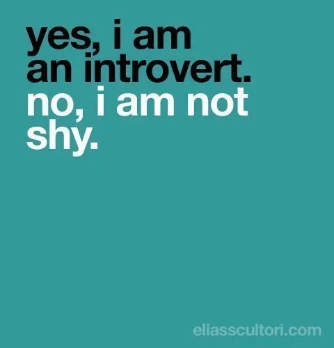 introvert not shy