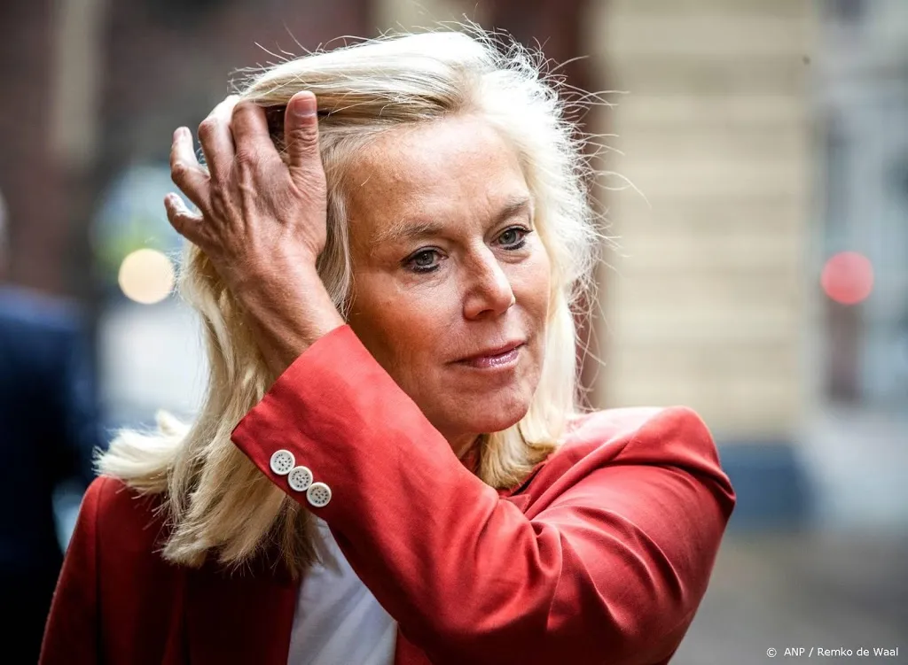 kaag met ruim 95 procent gekozen tot nieuwe leider d661599230175