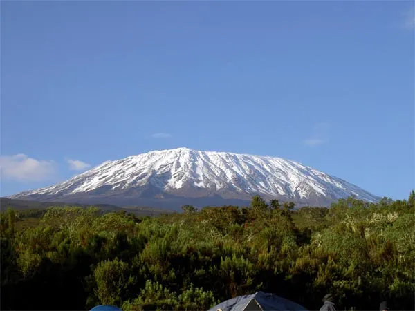 kilimanjaro