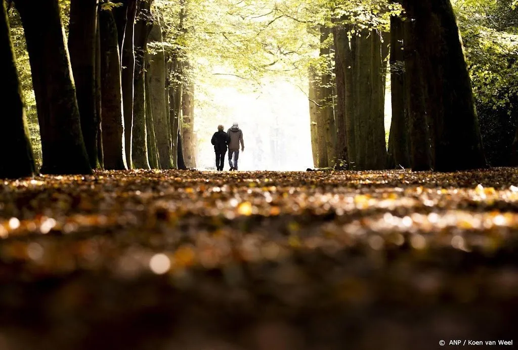 komende week bijzonder warm weer verwacht1666510879