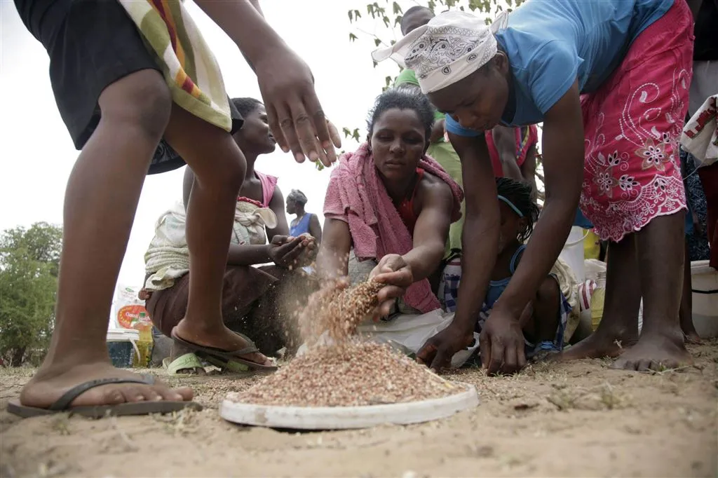 meer mensen met voedseltekort in zimbabwe1458025691