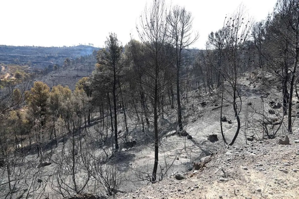 natuurbrand grijpt om zich heen in spanje1561645704