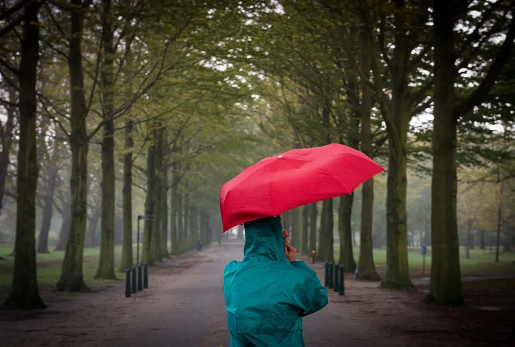 nederland maakt zich op voor herfststorm1413861624