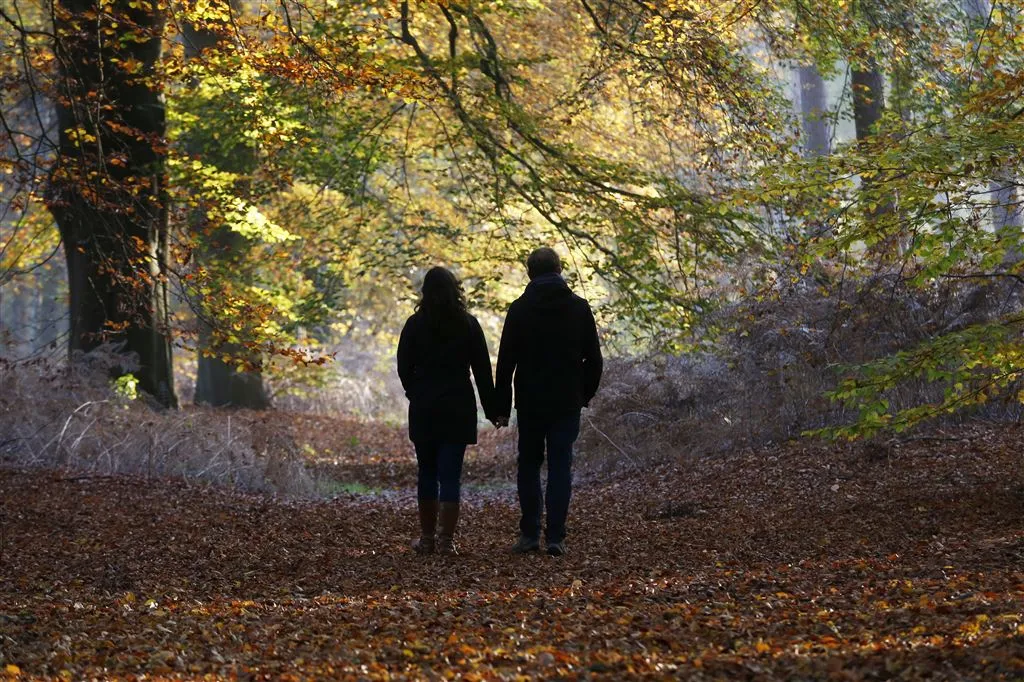 nederlanders kiezen mooiste natuurgebied1458199452