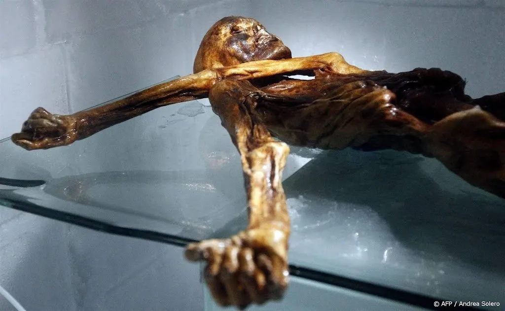 nieuw dna onderzoek otzi was kalend en had donkere huidskleur1692208588