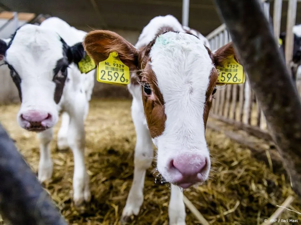 opnieuw vijf nominaties voor titel liegebeest van het jaar1660632252