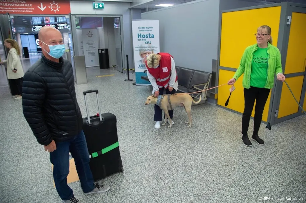 pandemie in finland versnelt luchthaven zet coronahonden in1600944484