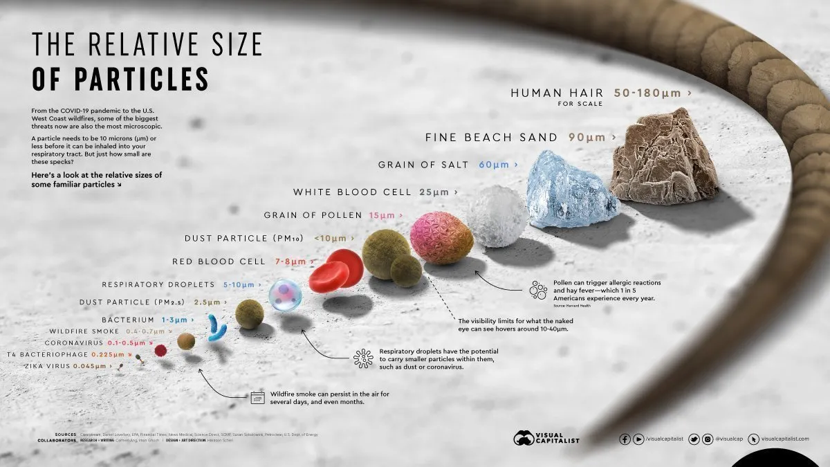 relative size of particles infographic 1