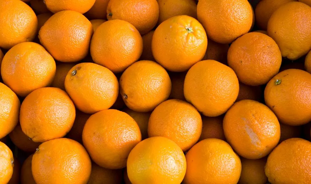 sinaasappel app ah verhult misstanden plantage1537765936