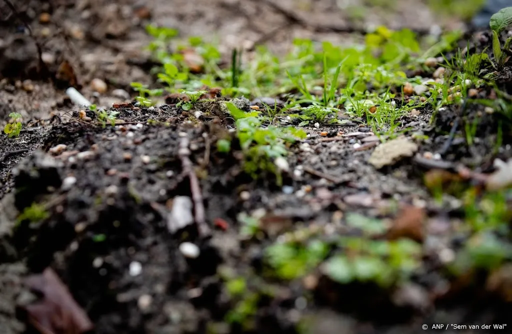 soepeler regels voor met pfas vervuilde grond1593590188