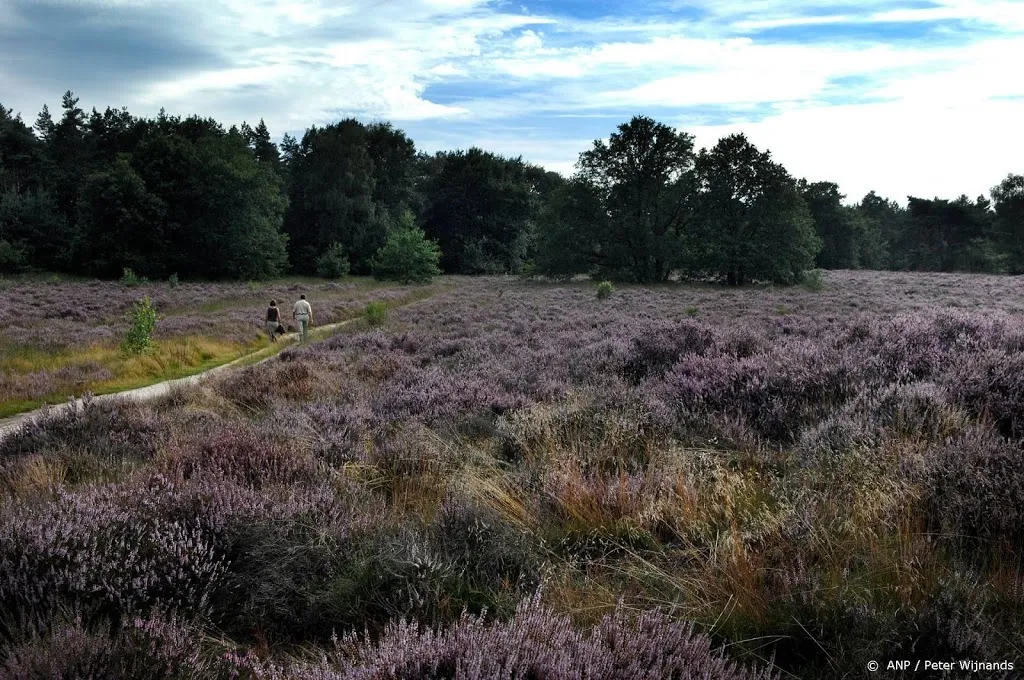 strenger toezicht op toeristen om wolf1561020741