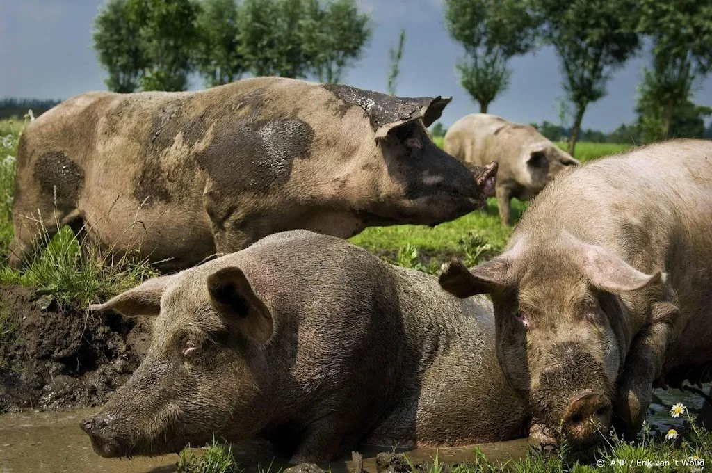 van der wal biologische boer mogelijk ontzien in stikstofaanpak1660579001