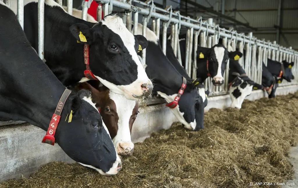 veestapel krimpt maar is nog altijd groter dan in 20121669767424