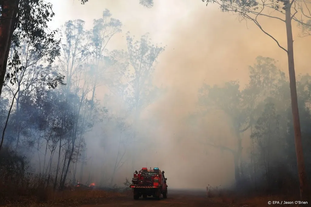 verwoestende bosbrand australie aangestoken1570604175
