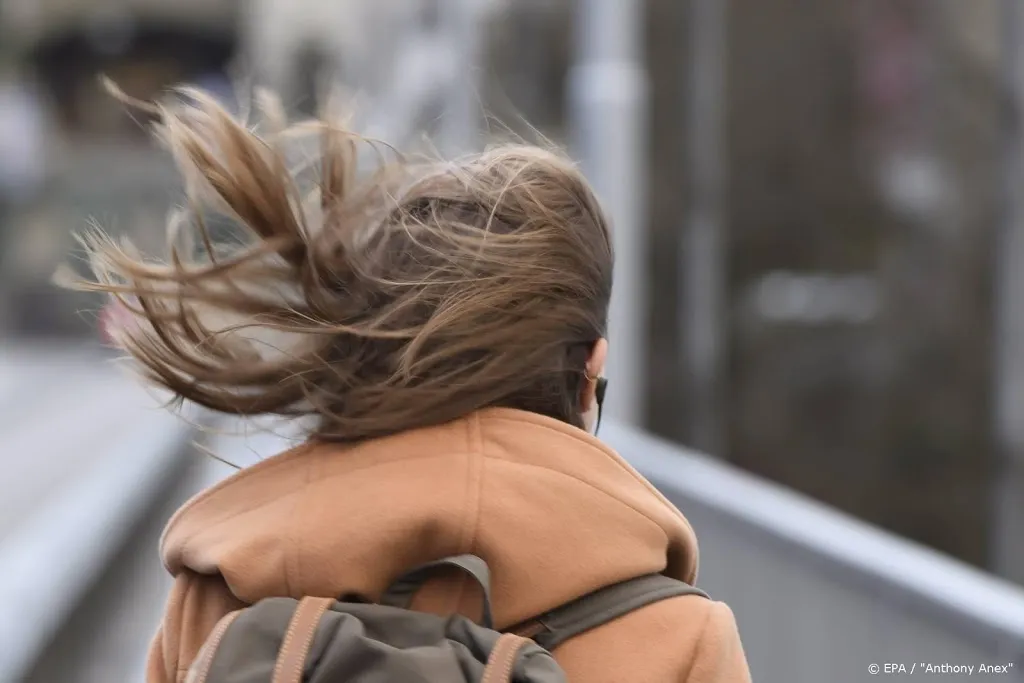 vrouw raakt waarschijnlijk door rukwind van de weg en overlijdt1581888487