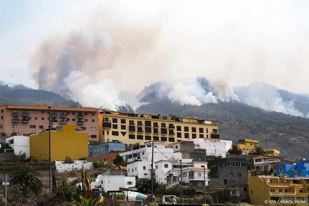 vuur grijpt om zich heen op tenerife minder evacues dan gedacht1692520680