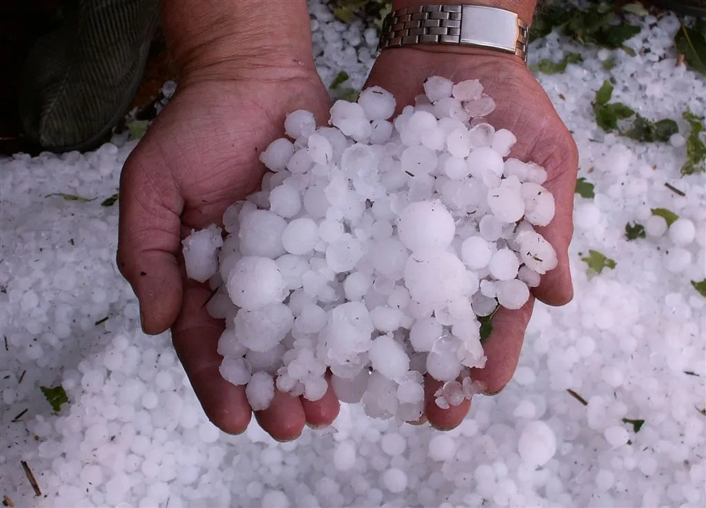 waarschuwingen voor mist regen en onweer1460593732