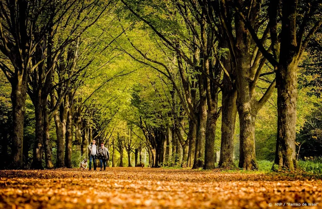 warmste 24 oktober ooit gemeten in de bilt1571926085