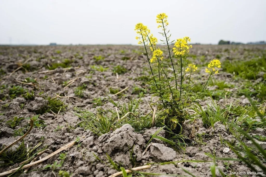 waterbeheerders nemen meer maatregelen tegen droogte1652088023