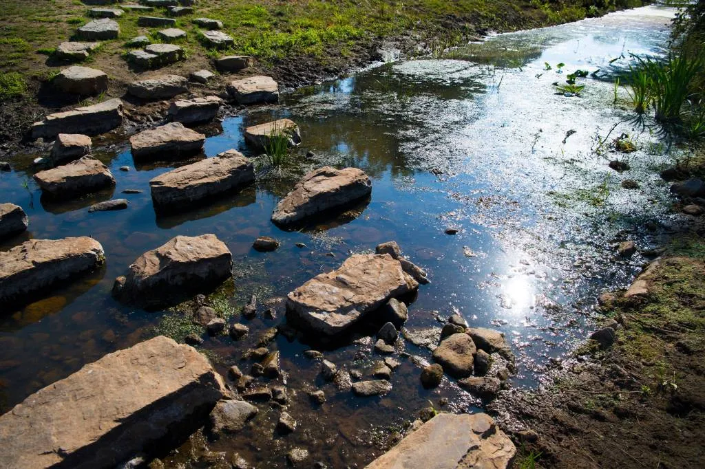 waterstand in rijn daalt en daalt1533091449