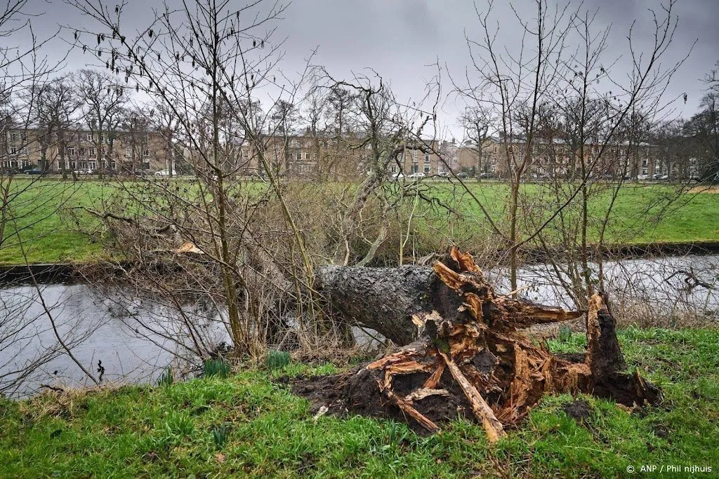 weer nl vanaf woensdag komt een einde aan stormachtig weer1645457120