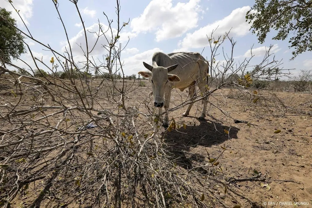 wmo afrikaanse landen passen klimaatplannen aan op toekomst1662621136