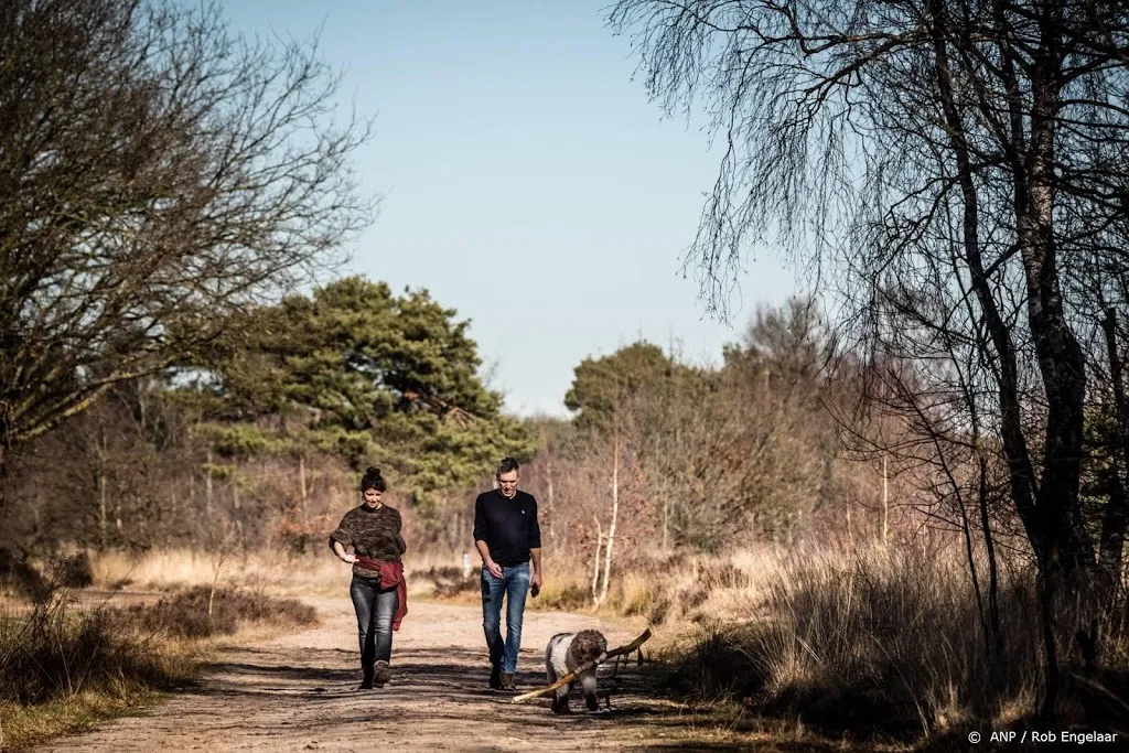 zeldzaam zonnige en droge november na sombere oktober1606551368