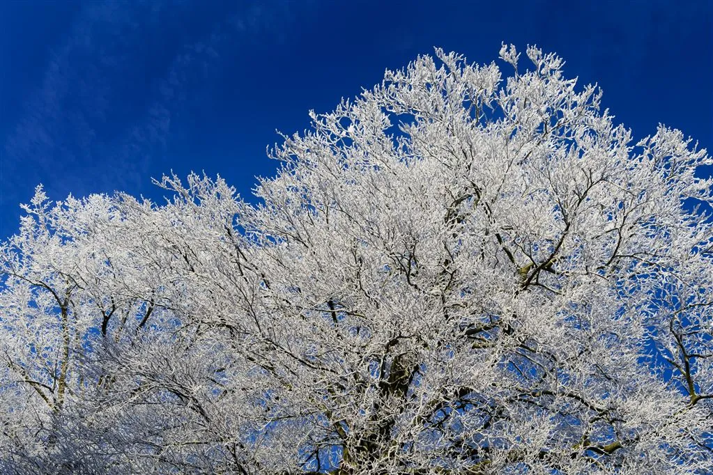 zondag kans op sneeuw in noordoosten1451687049