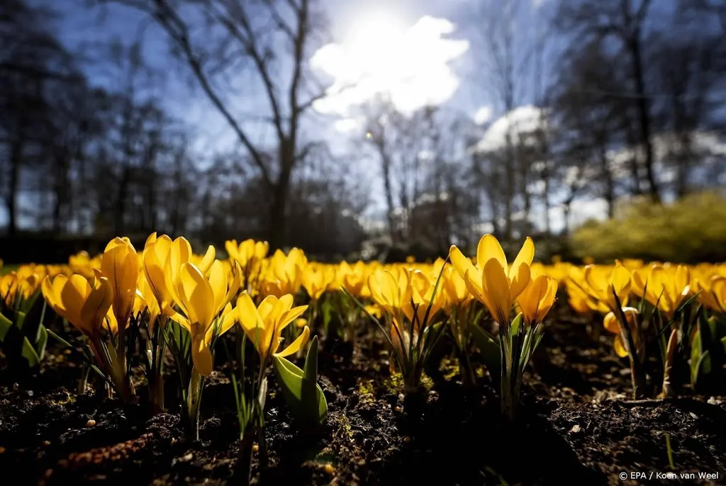 zonnige droge en warme lente op komst1616227695