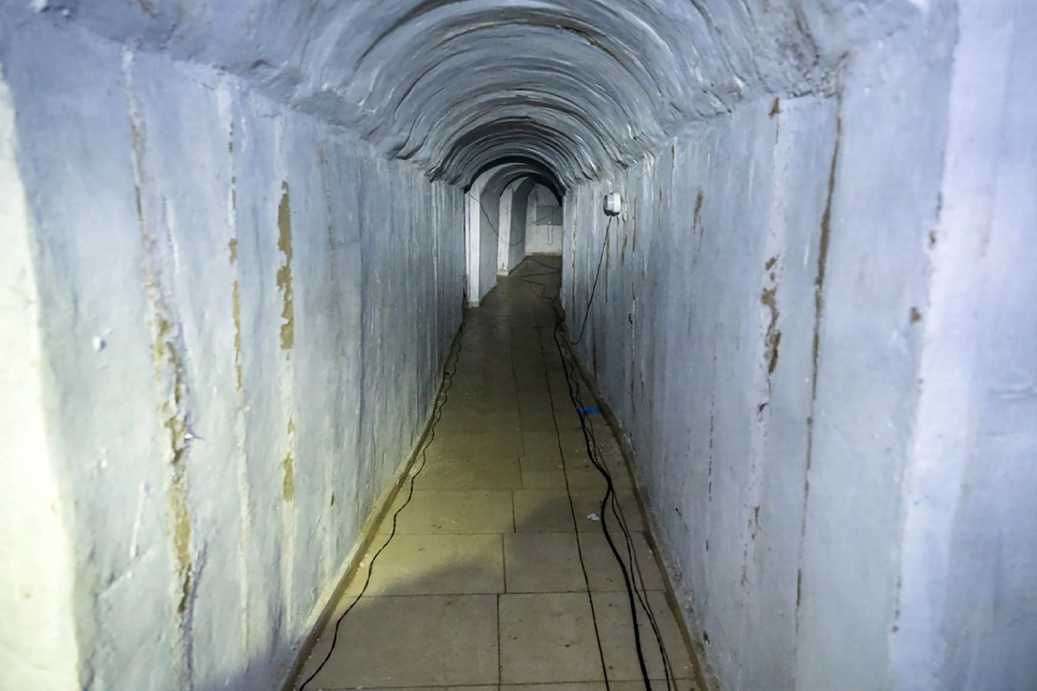 anp 489066868