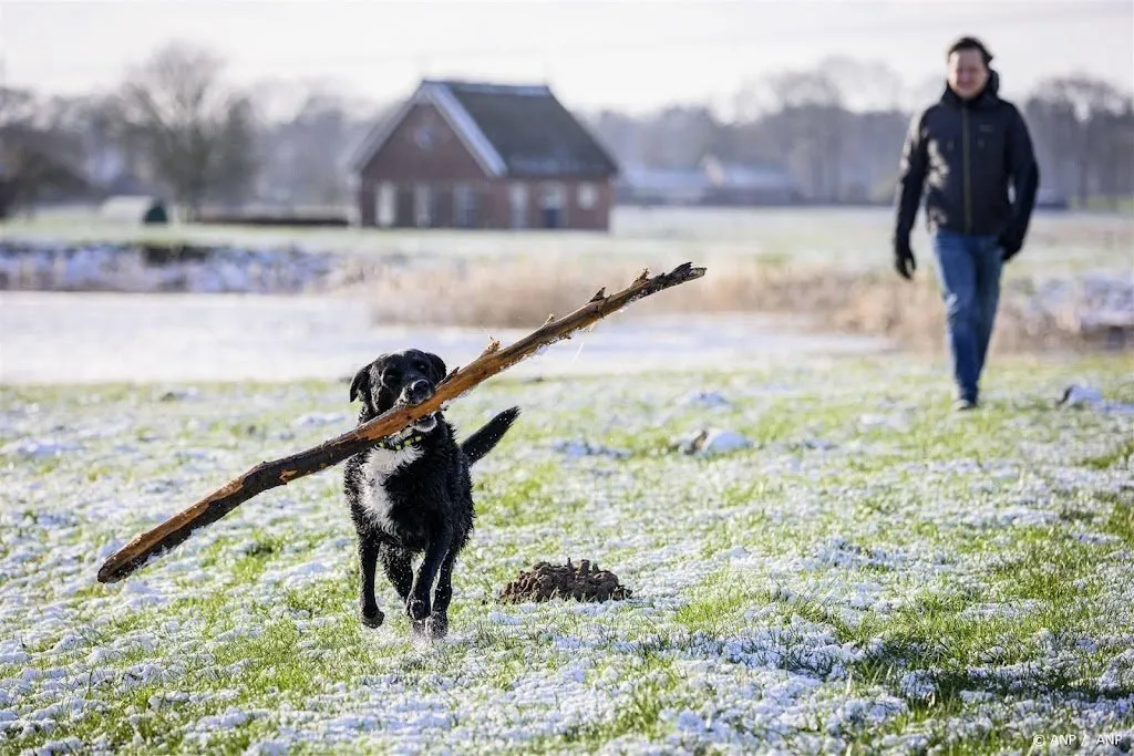 eerste officiele vorstdag van het nieuwe jaar1704644475