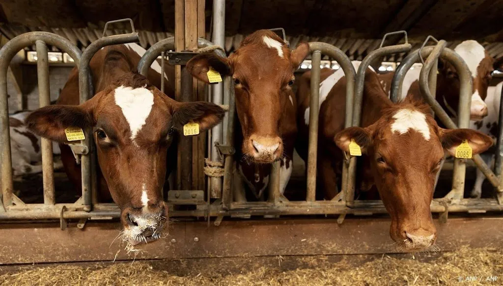 kabinet nog eens 15 miljard euro voor uitkoopregeling boeren1703146122