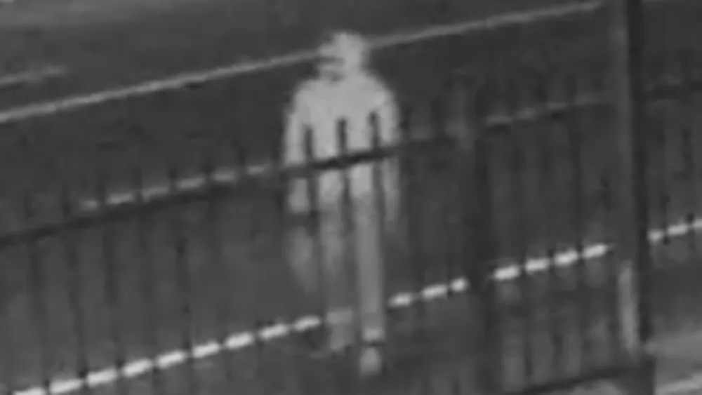 skynews la los angeles serial killer 6379289