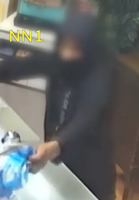 nn1 2024133817